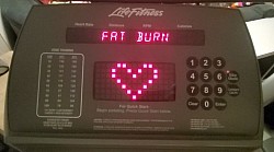 Fat Burn